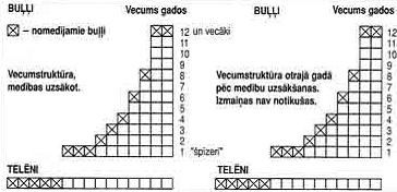 Andris