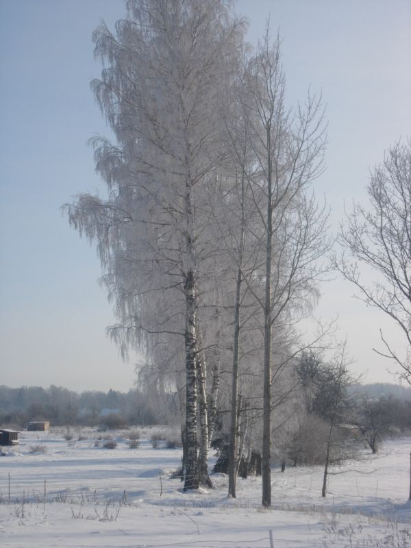 Žanna