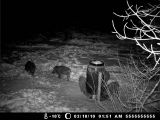 meža kamera moultrie game spy i 40