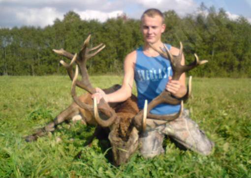 Briedis