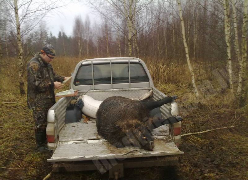 Pirmais. 150 kg. 