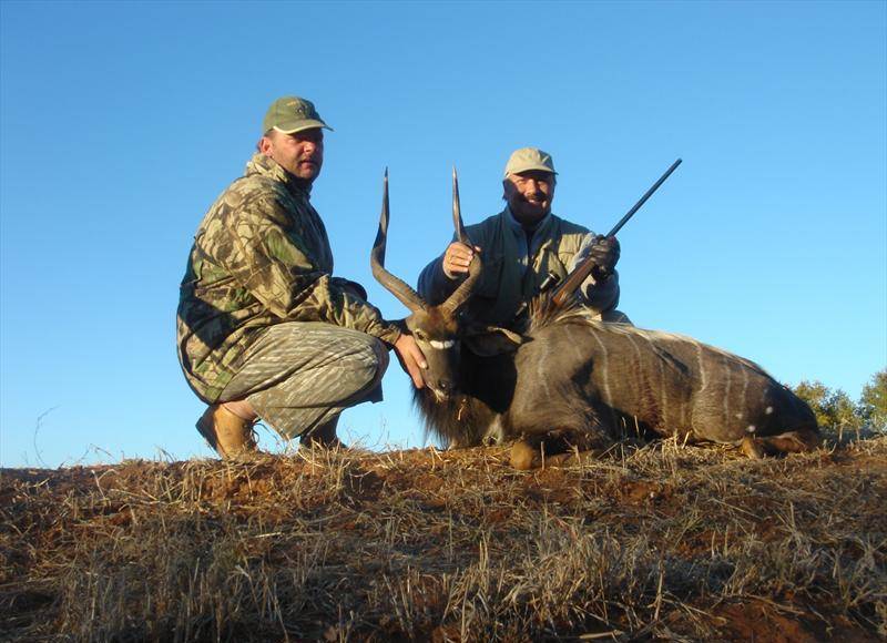 Nyala