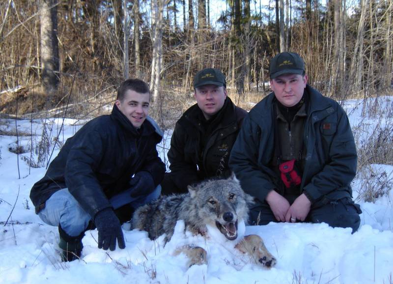 vilks