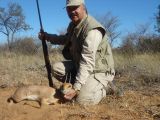 Antilope Steenbuck