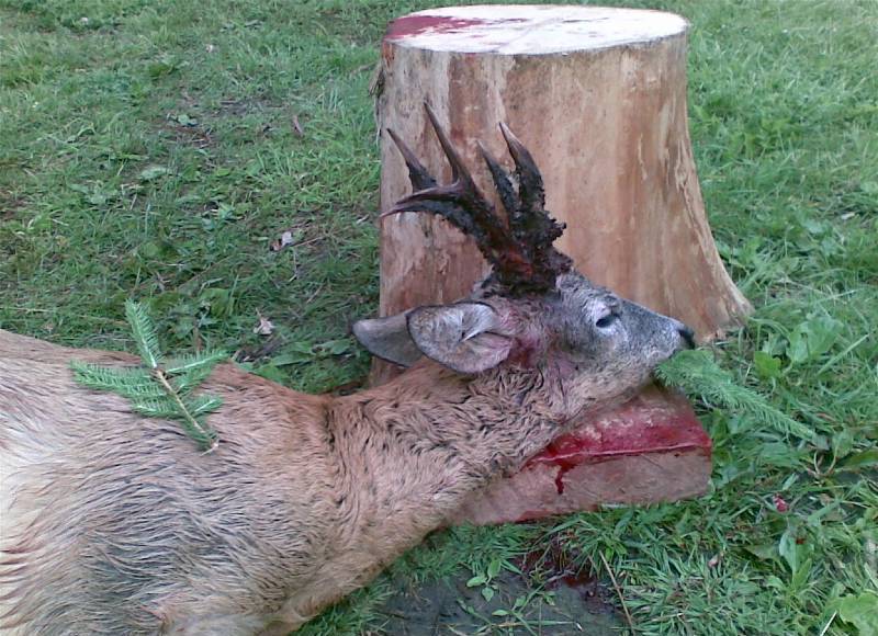 trophy
