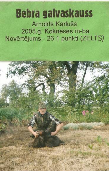 Zelts 10 minūtēs