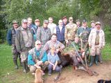 alnis 2006
