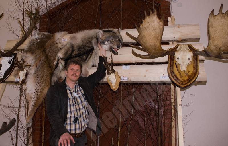 Vilks