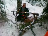 Briedis