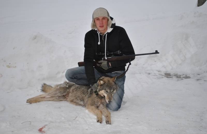 Vilks