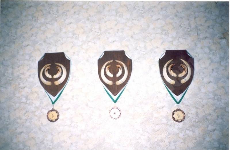 trophy