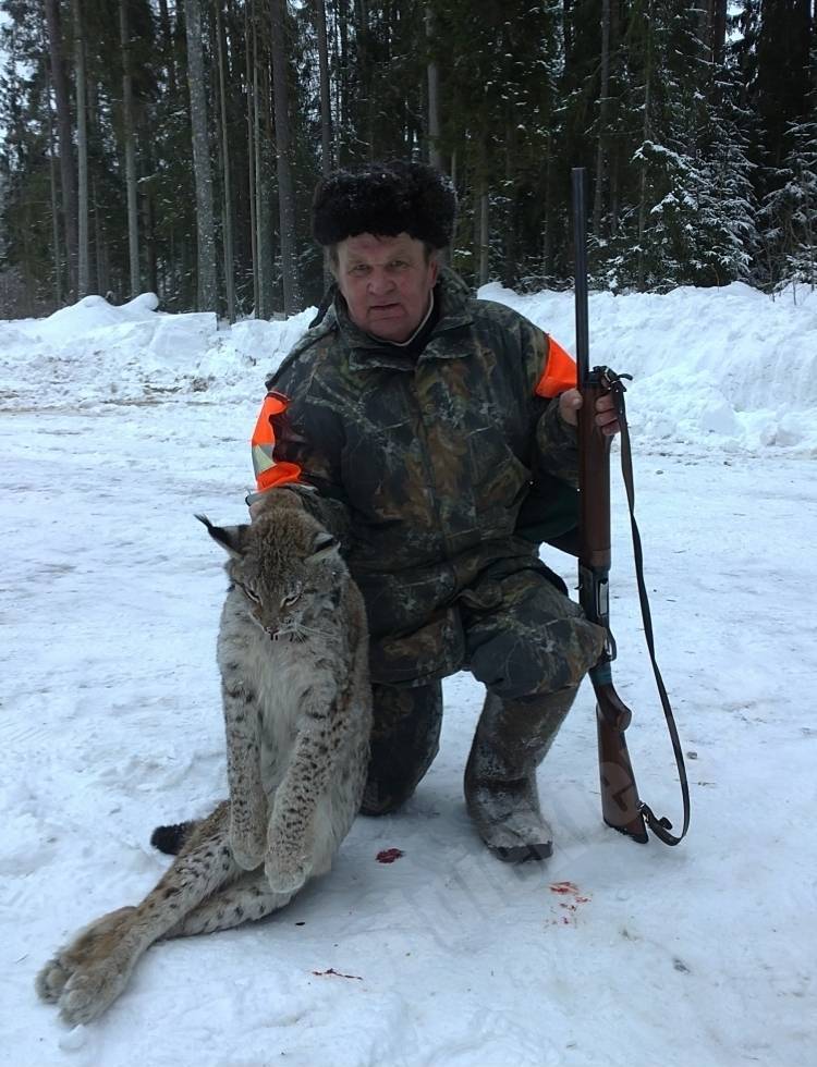 lusis