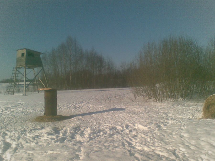 Uldis