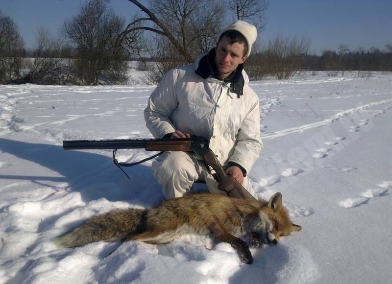 lapsa fox