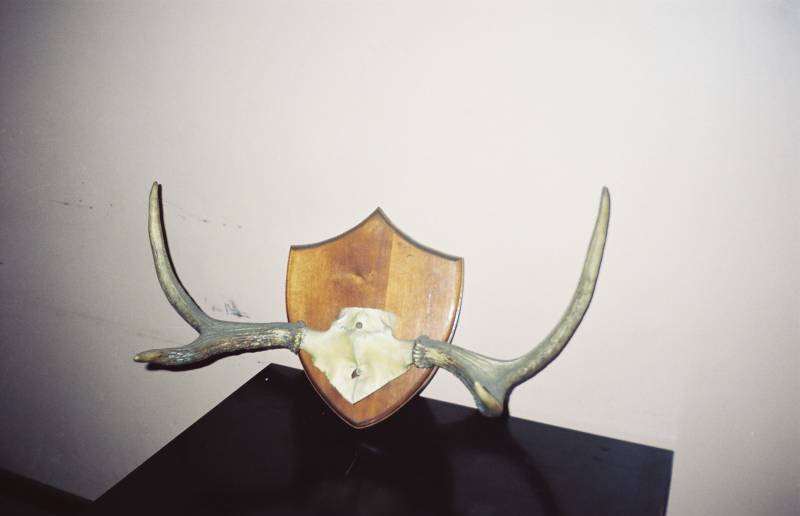 Ļoti vērtīga trofeja