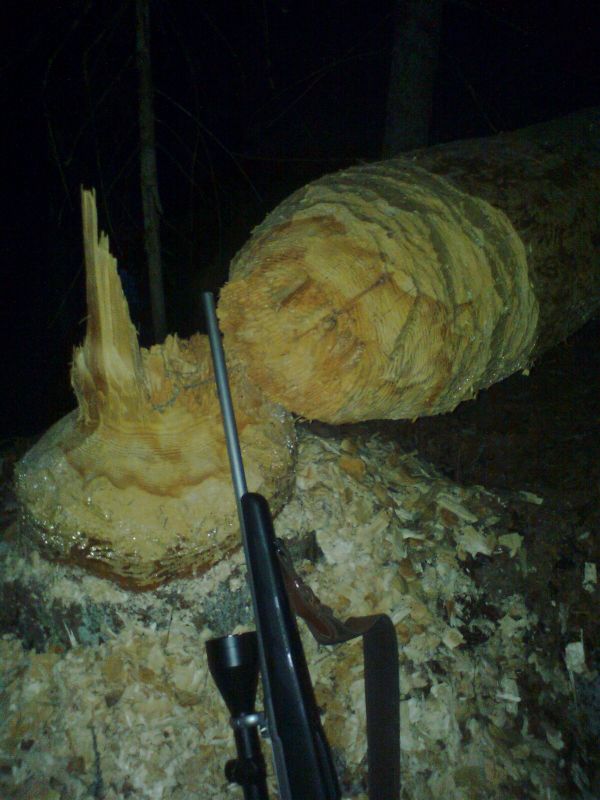Mārtiņš