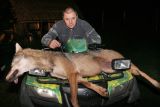 vilks