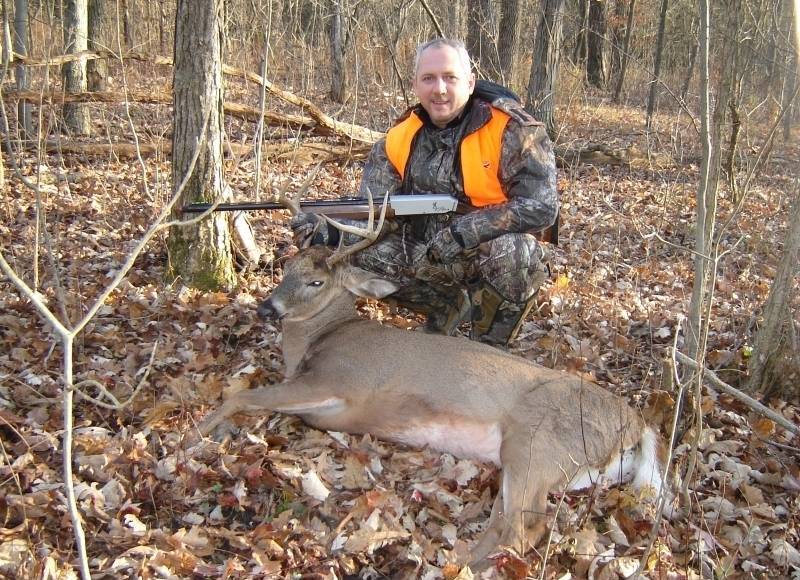 Baltastes briedis (Whitetail deer)