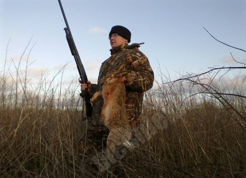 Arturs VS Rabbit