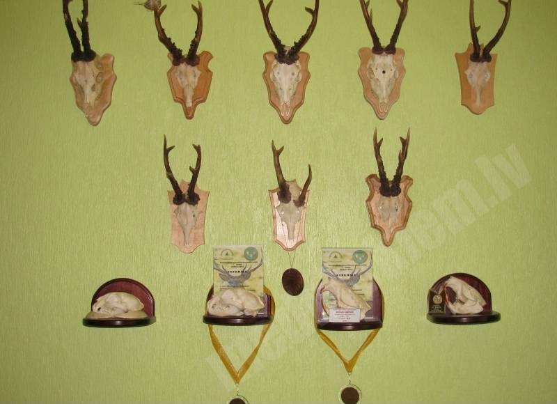 Trofejas
