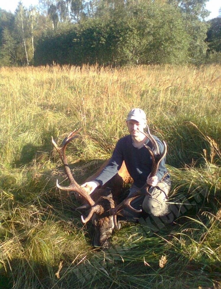 trophy