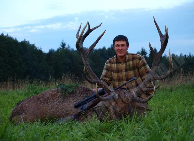 Briežu bullis