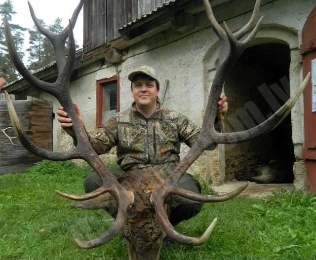trophy