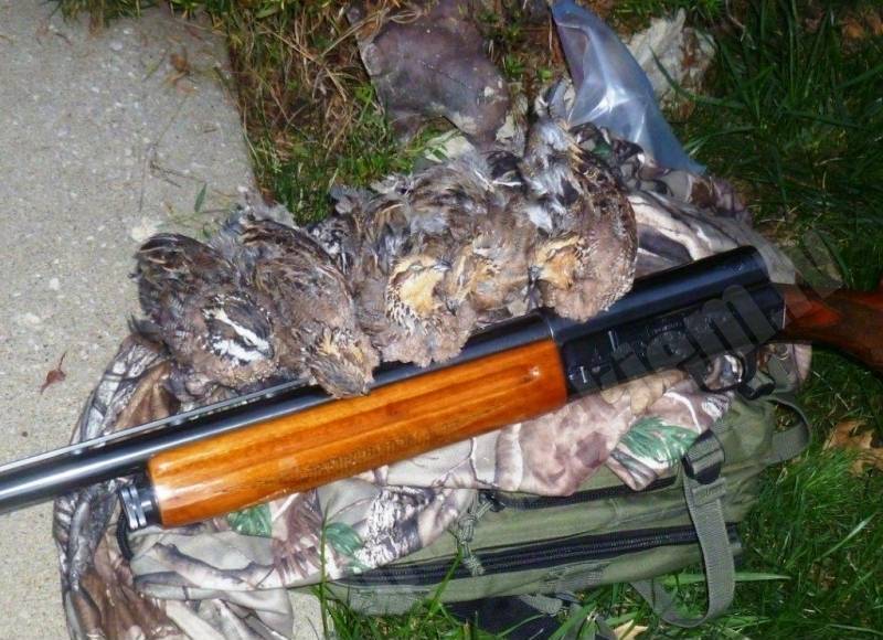 Paipalas (Quail)