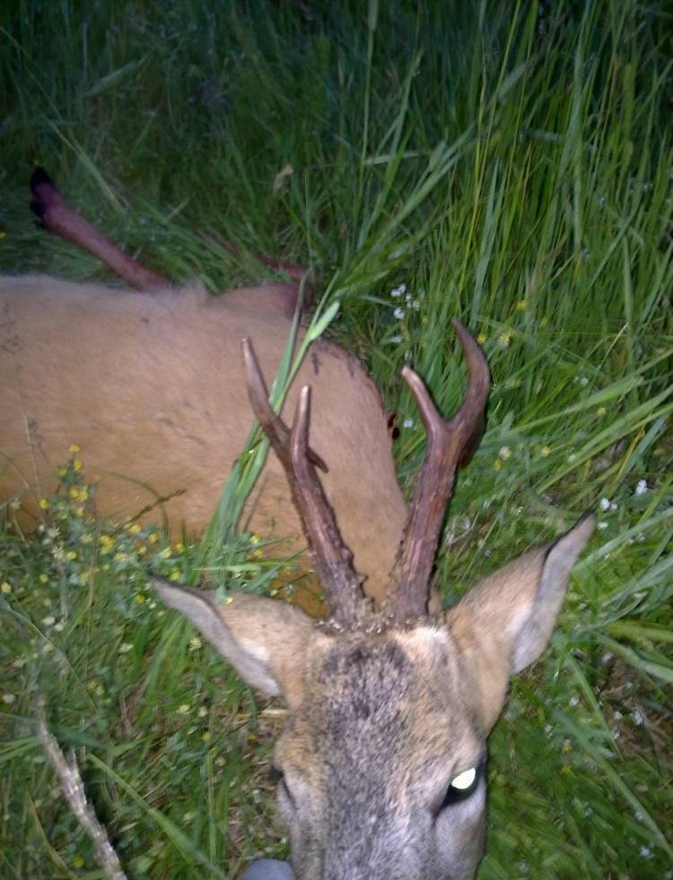 trophy