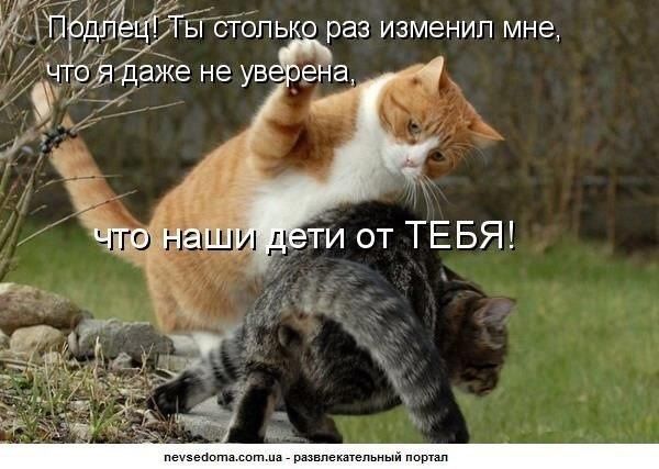 Andris