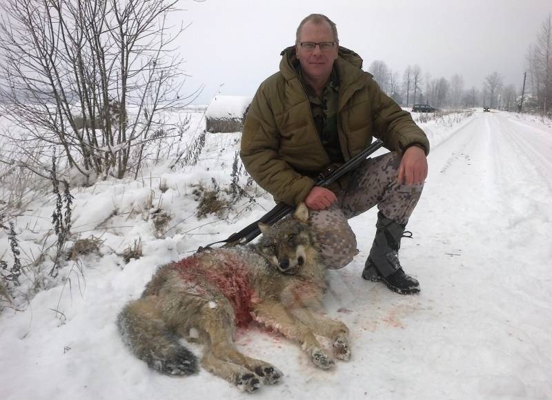 Vilks