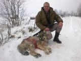 Vilks