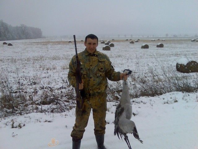 Andris