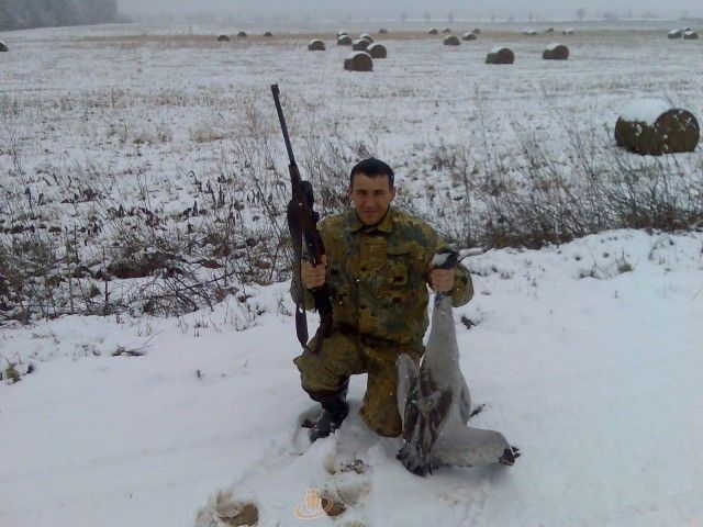 Andris