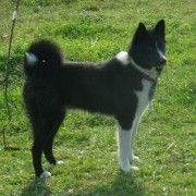 Līga