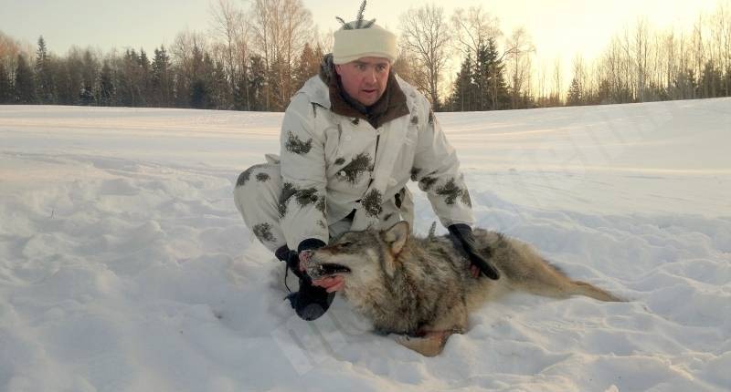 Zvārdes vilks 27.01.2013. 