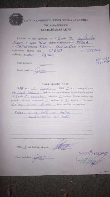 Aigars