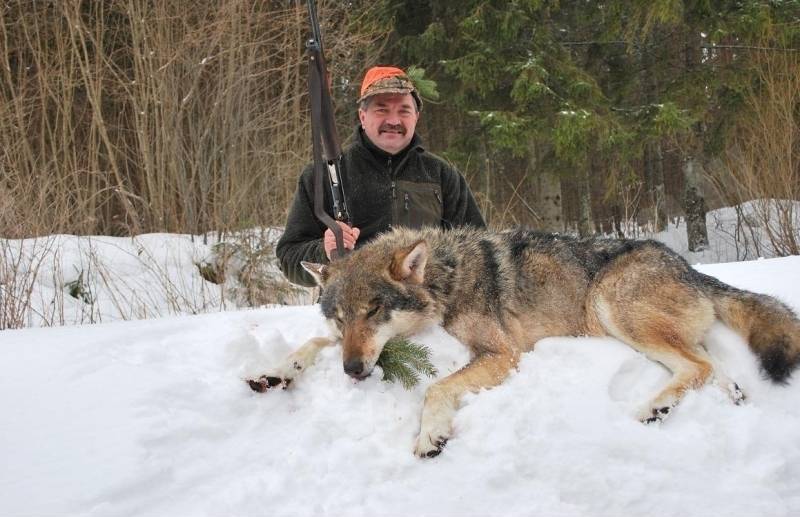 Vilks