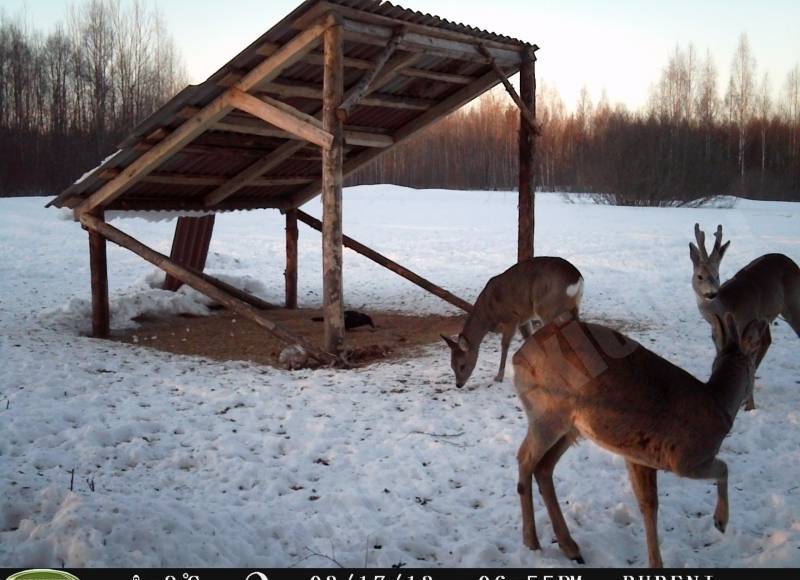 Vakariņu laiks :)