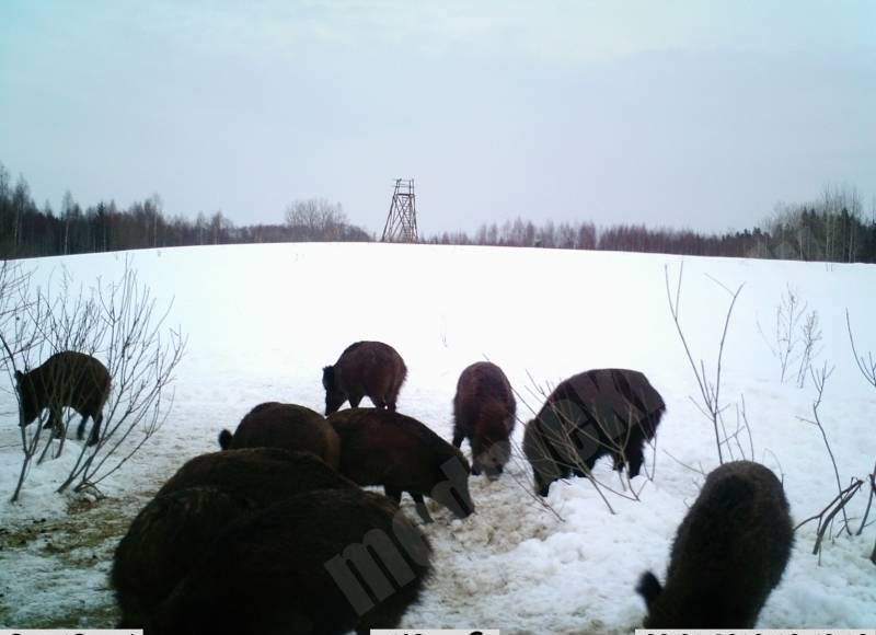 Uz vakariņām