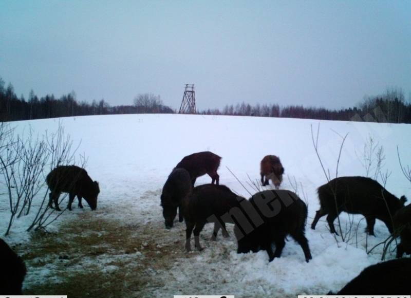 Uz vakariņām