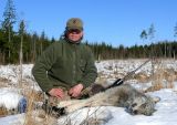Vilks