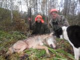 Mans pirmais vilks