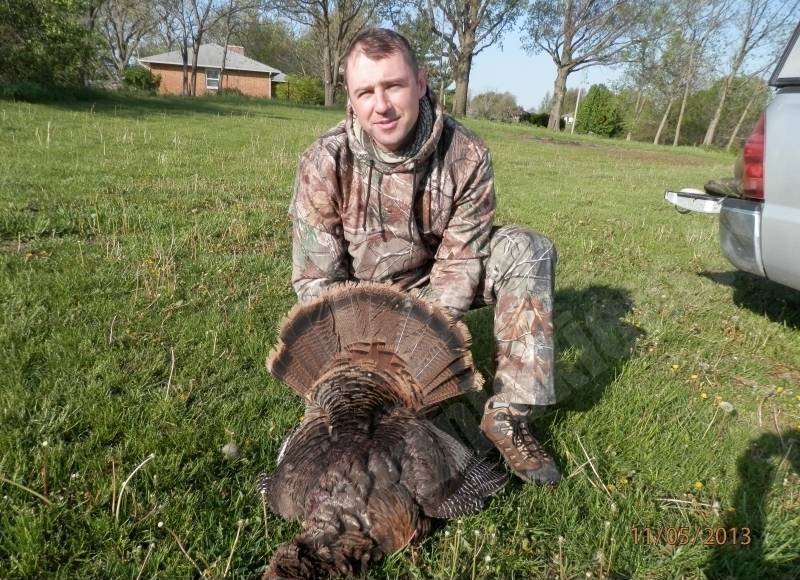 Wild Turkey