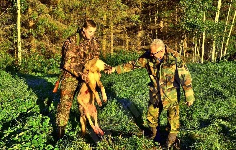 Mans pirmais vilks.