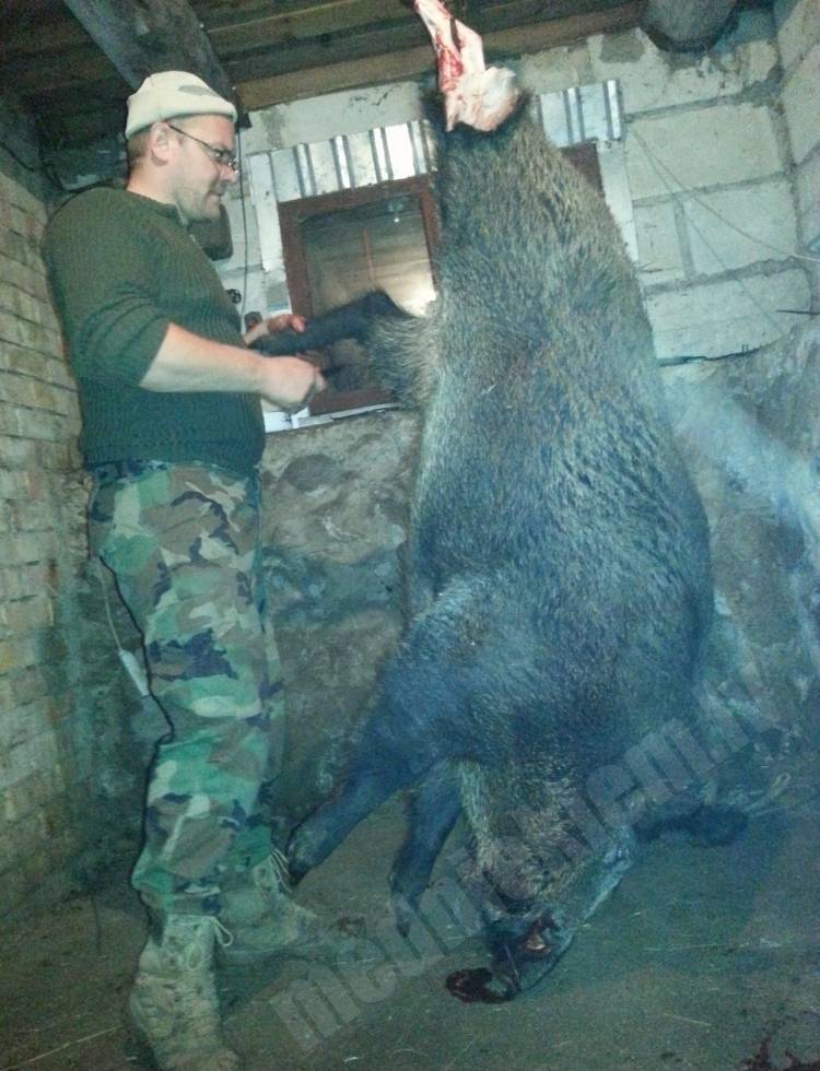 Mana labākā trofeja.