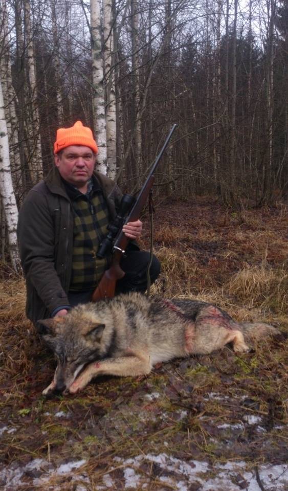 Vilks
