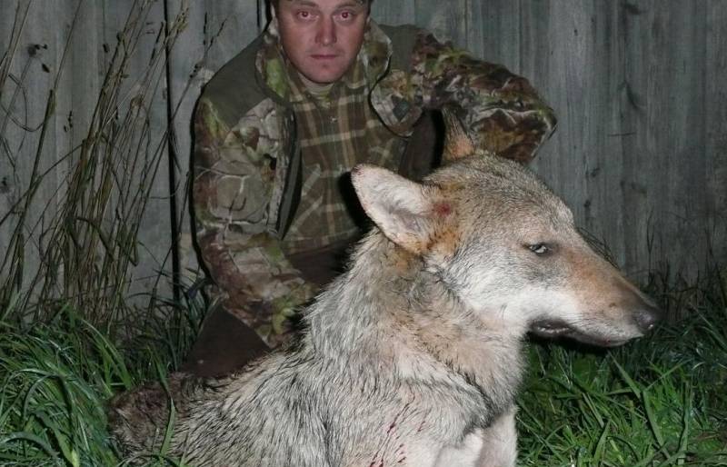 Vilks