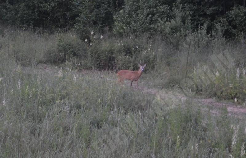 08.07.2014