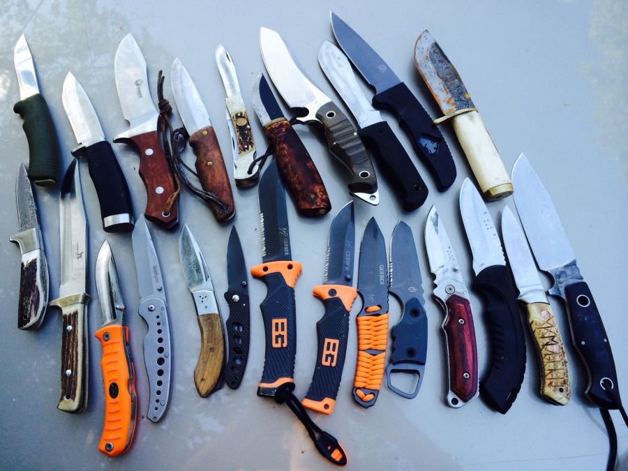 Aigars